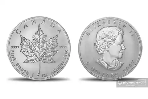 Münze Maple Leaf <sup>#192</sup>