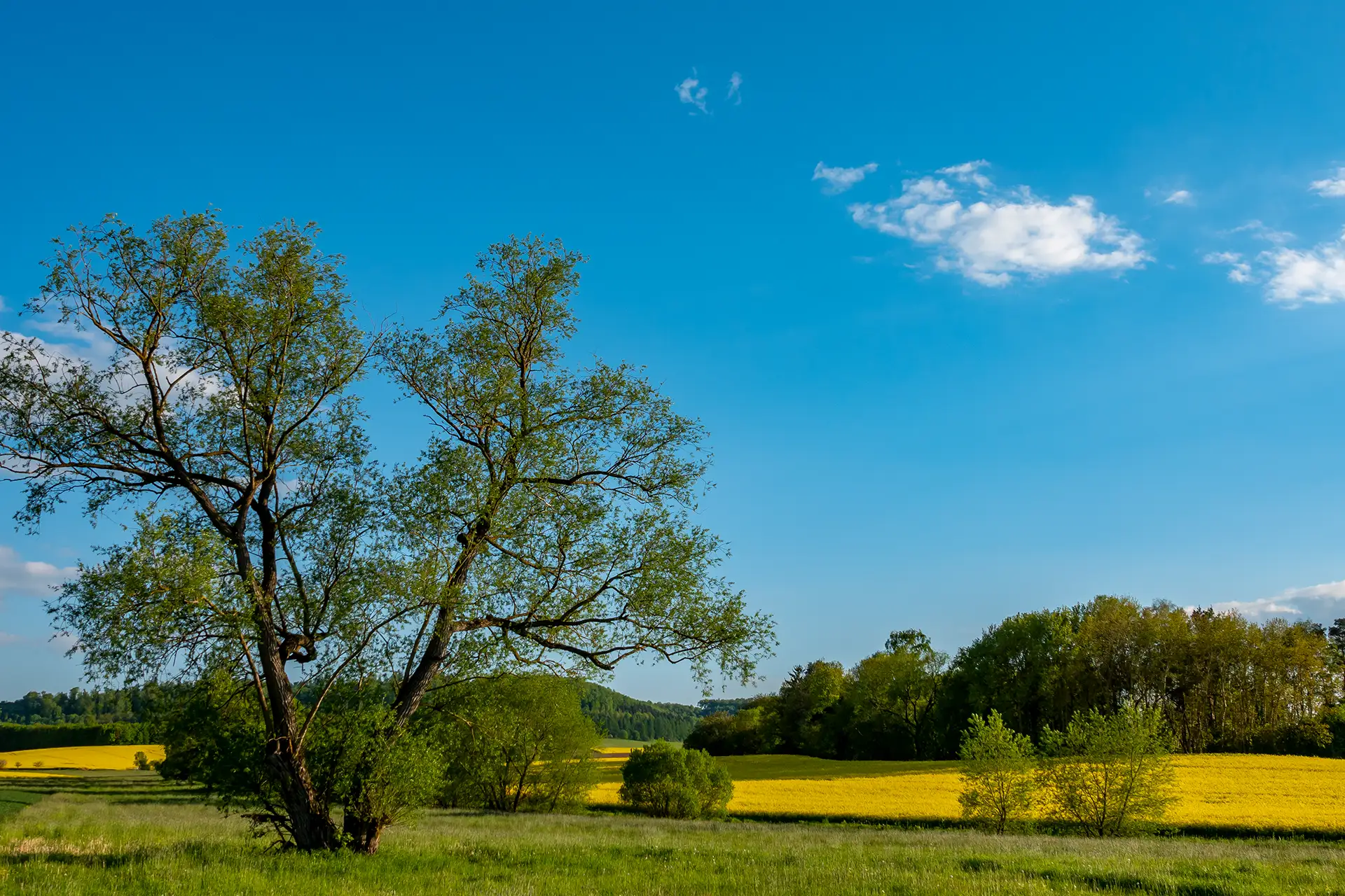 Fotograf Meiningen, Motiv Kontakt: Rhönlandschaft