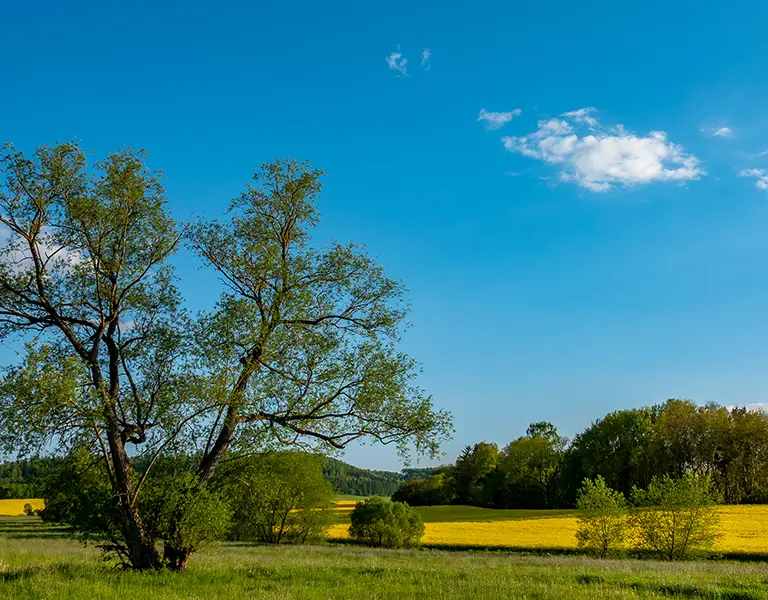 Fotograf Meiningen, Motiv Kontakt: Rhönlandschaft